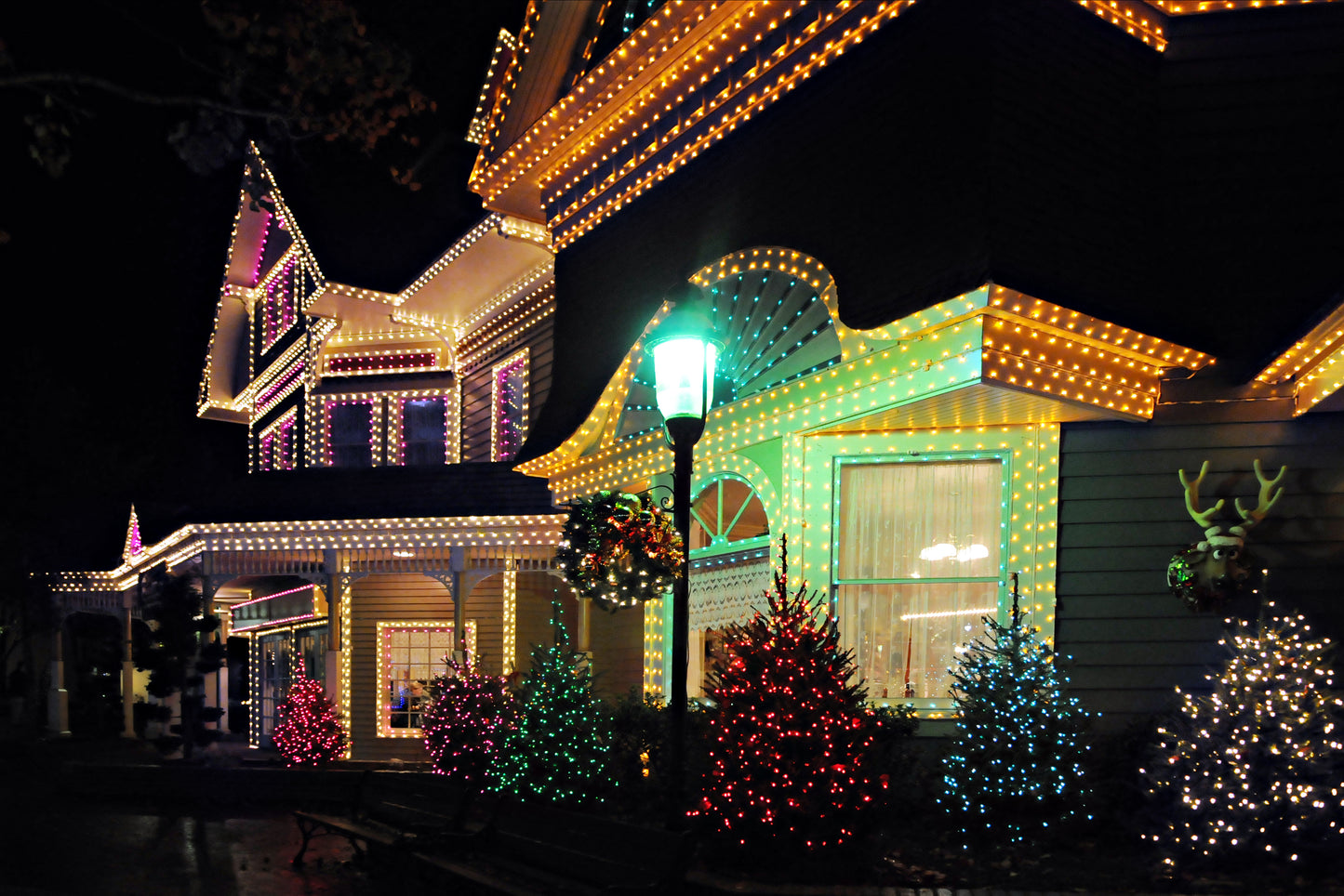 Professional Christmas Light installation
